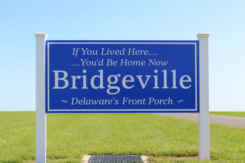 Best Shower Remodeling pros in Bridgeville, DE