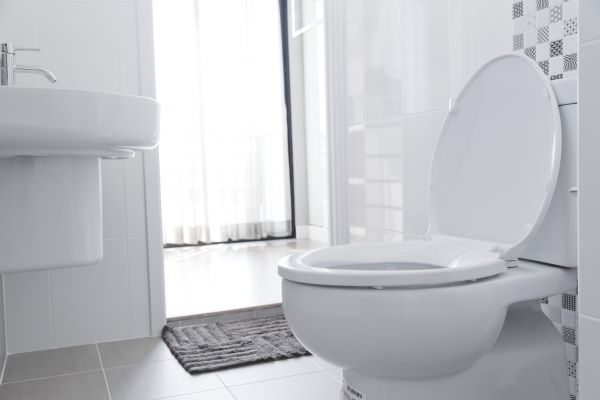 Cost of Toilet Relocation in Lewes